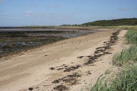 Longniddry Bents 